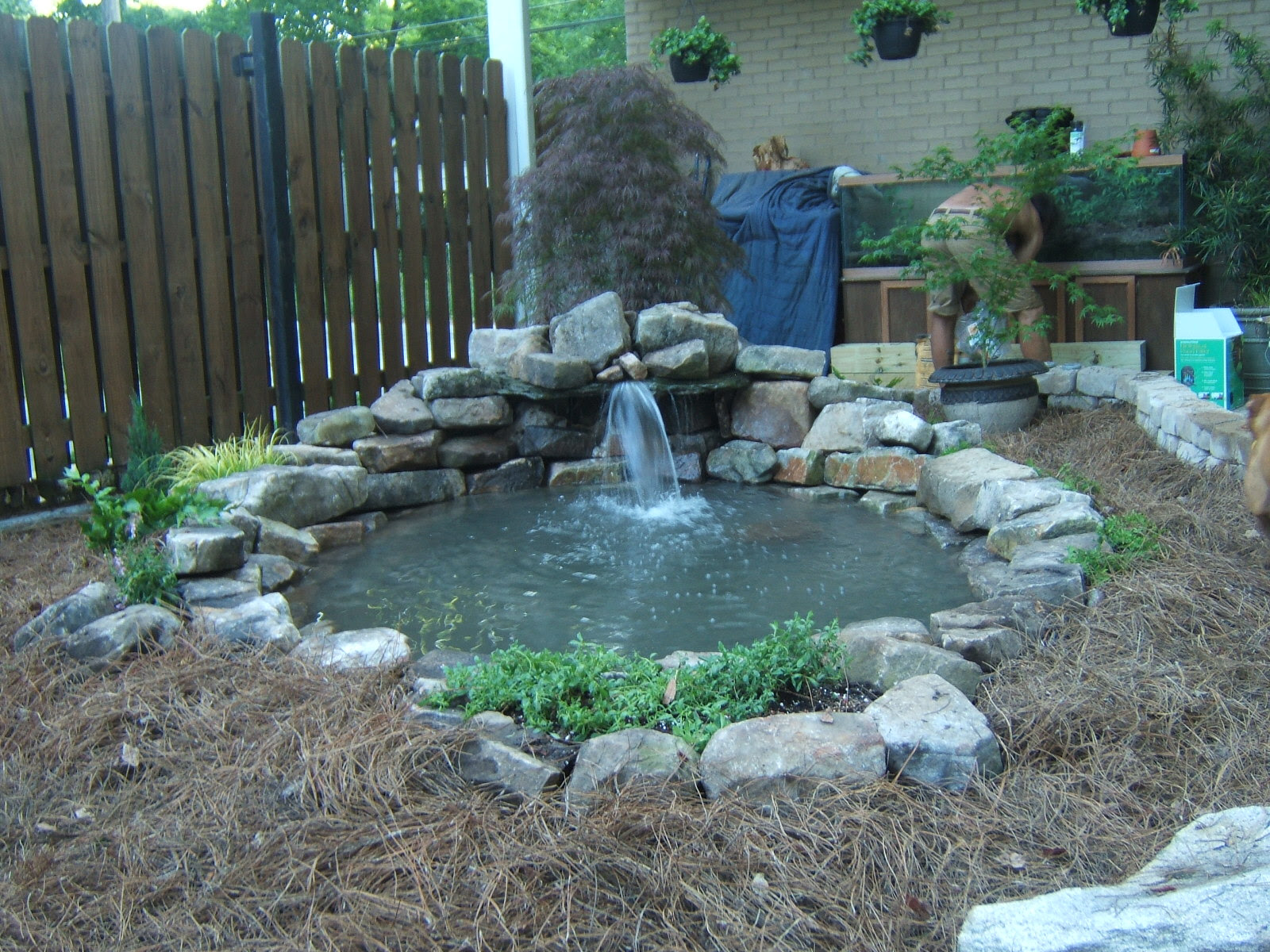 Build A Pond - 