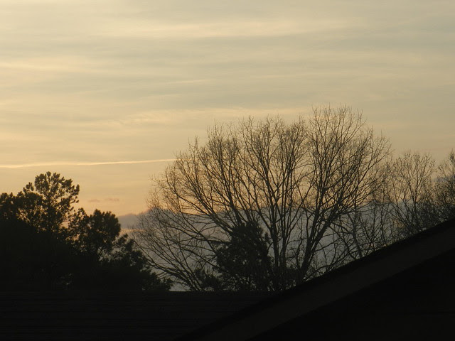 skywatchDSCN6320 - Copy