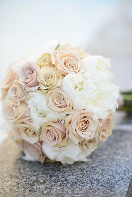 jwed_281