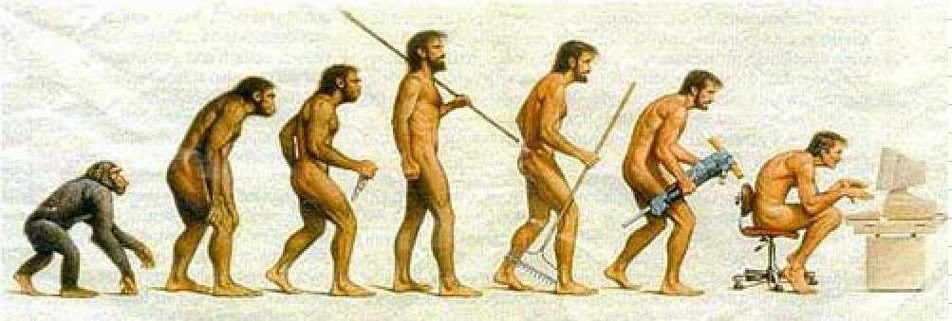 Evolución postural del ser humano