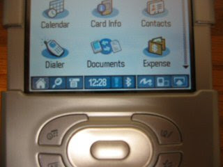 Palm Reports to Moscow