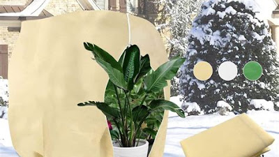 Blumentöpfe Auf Dem Balkon: Wann Brauchen Sie Winterschutz?