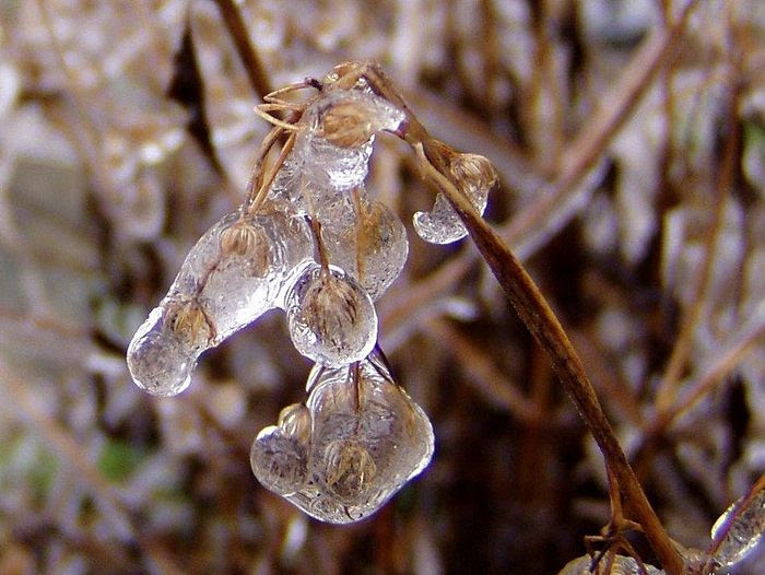 Beautiful Winter Photos (49 pics)