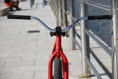 Shinya's DURCUS ONE NASTY