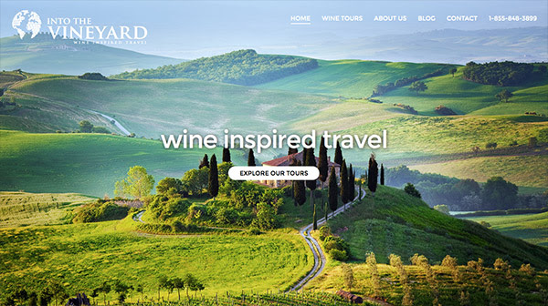 Into the Vineyard