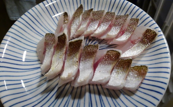 カマスの炙りと塩焼き フィッシング天台