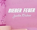 Justin Bieber Fever - Girl's Room Kids Lyrics Song - Quote Sticker, Decorative Adhesive Vinyl Wall Decal, Lettering Art Letters Decor, Saying Decoration