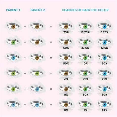 If one of the grandparents has blue . baby eye color calculator chart and predictor momjunction