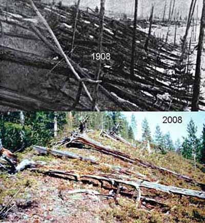 http://www.crystalinks.com/tunguska2.jpg