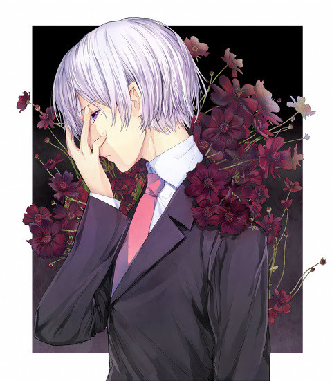 黒いコスモス Pixiv年鑑 B