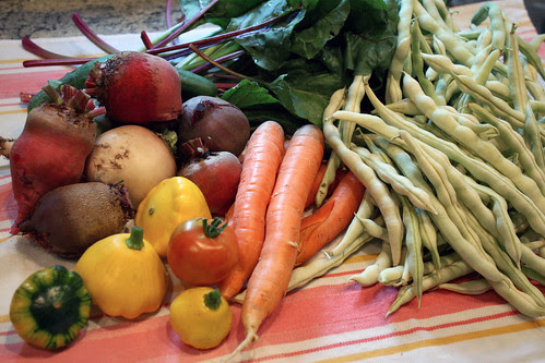 harvest  028