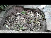 Panduan Pemanfaatan Lahan Sempit Untuk Pembuatan Pupuk Kompos Dari Sampah Organik Rumah Tangga, Paling Baru!