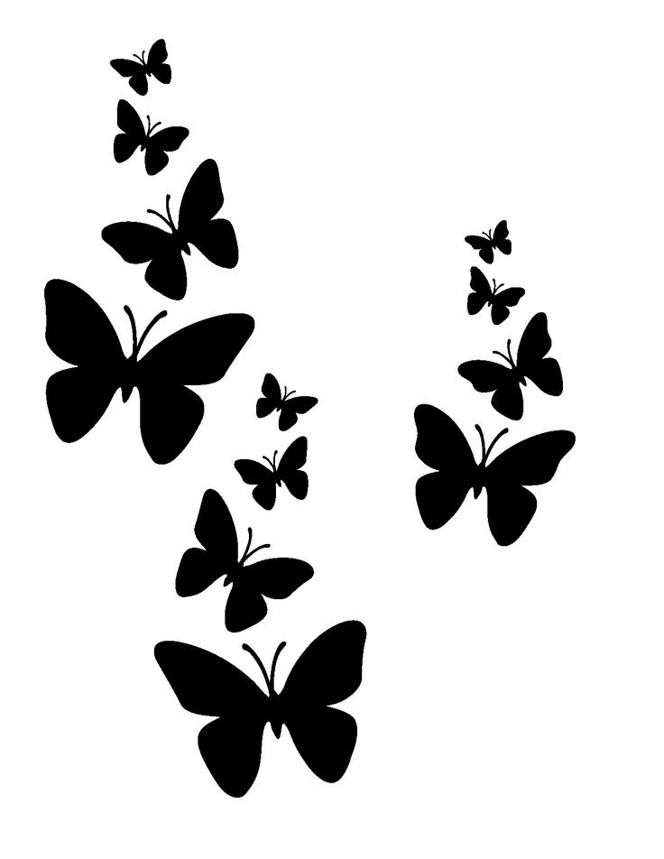 Download Free Pics Of Butterflys, Download Free Clip Art, Free Clip ...