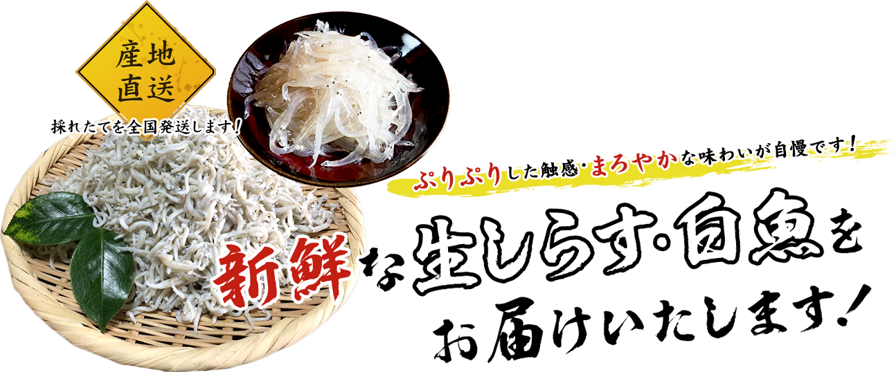 生しらす 白魚のお取り寄せは 新政丸 へ