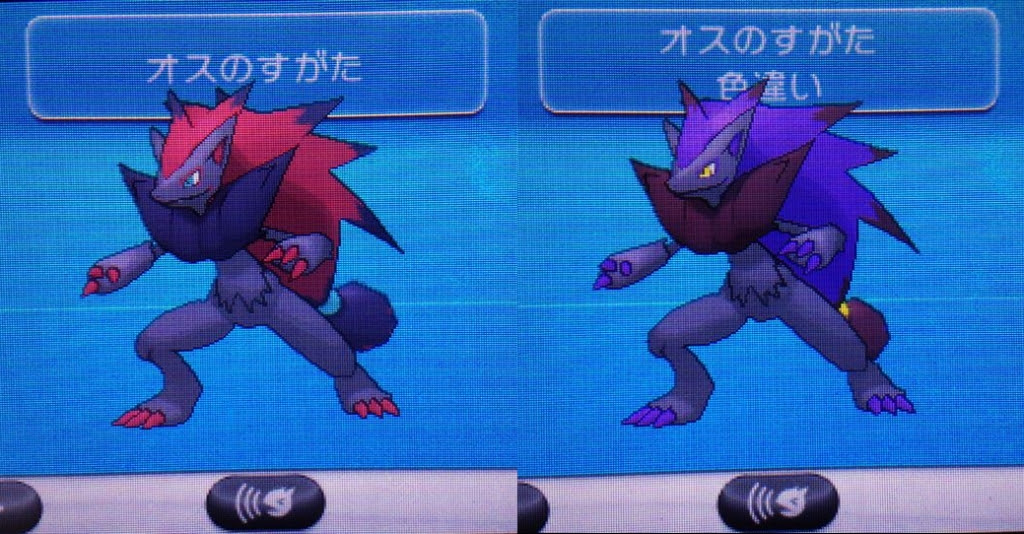 色違い ゾロア ゾロアーク 迷犬ぽちのあしあと