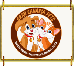 Gran Canaria Pets - Tierschutz Gran Canaria