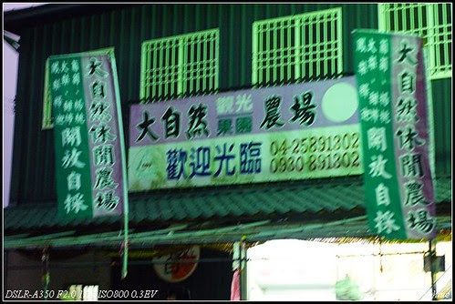 DSC05318_nEO_IMG