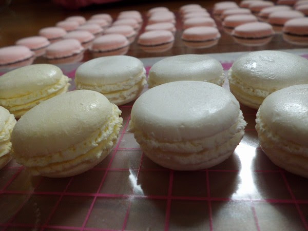 マカロン みどりのはっぱ りとの写真日記