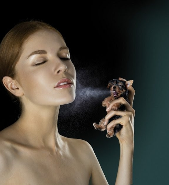 Top 24 Photo Manipulation