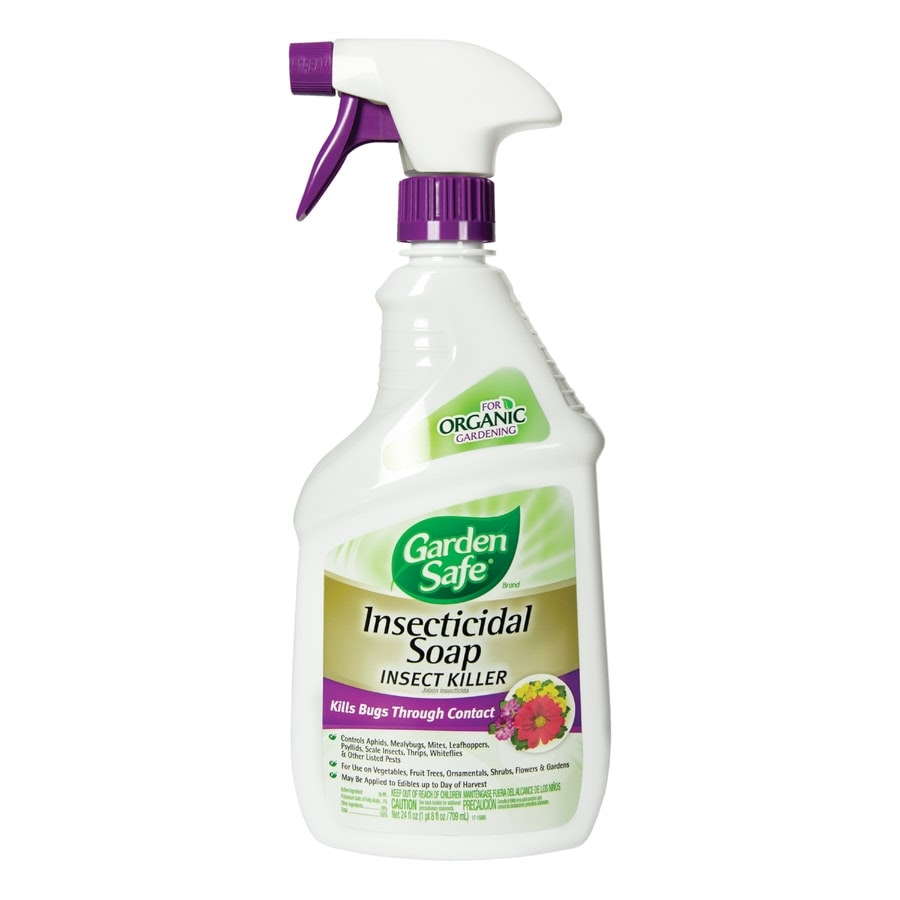 Garden Safe Insecticidal Soap Insect Killer 24 Fl Oz Insect Killer In The Pesticides Department At Lowes Com