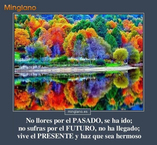 FRASES POSITIVAS para WHATSAPP