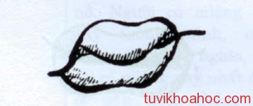 tướng đàn bà cười hở lợi tướng số phụ nữ cười hở lợi tướng số người cười hở lợi tướng số cười hở lợi tướng người cười hở lợi cười hở lợi webtretho cười hở lợi tướng số đàn ông cười hở lợi tướng số đàn bà cười hở lợi tướng số phụ nữ cười hở lợi tướng số cười hở lợi tướng cười hở lợi trong tướng số cười hở lợi thì làm sao cười hở lợi thì khổ cười hở lợi số khổ cười hở lợi nhân tướng học cười hở lợi làm đẹp cười hở lợi là khổ con trai cười hở lợi tướng số chữa cười hở lợi webtretho 