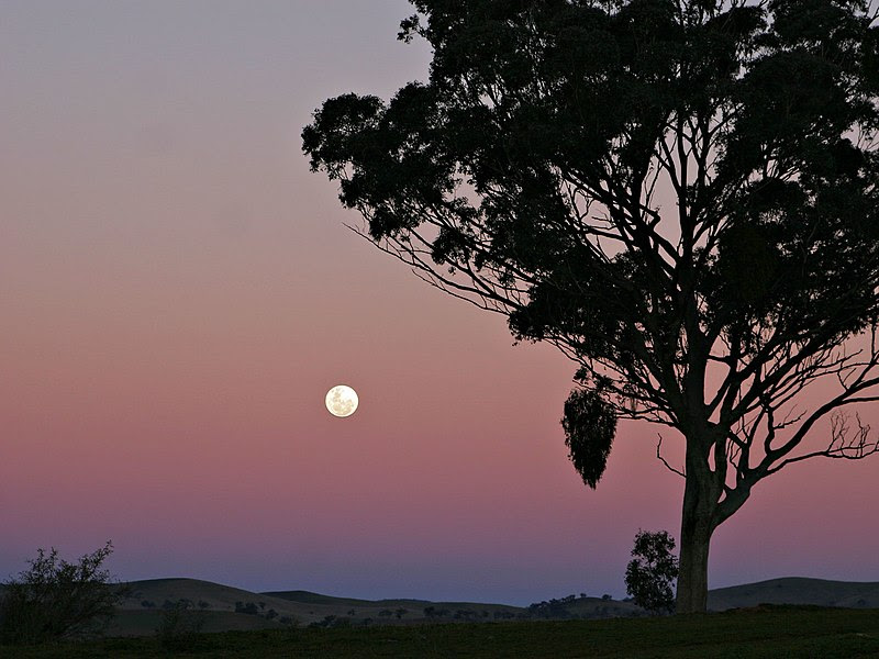 http://upload.wikimedia.org/wikipedia/commons/thumb/0/06/Moon_and_red_blue_haze.jpg/800px-Moon_and_red_blue_haze.jpg