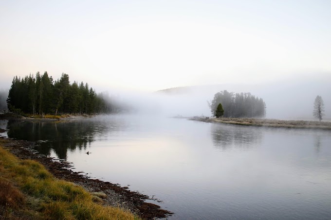 A foggy morning in Yellowstone National Park [OC] [4898x3265] - HQ Earth Landscapes Photo