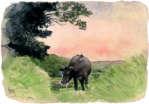 牛のイラスト 干支 丑年 牛の絵