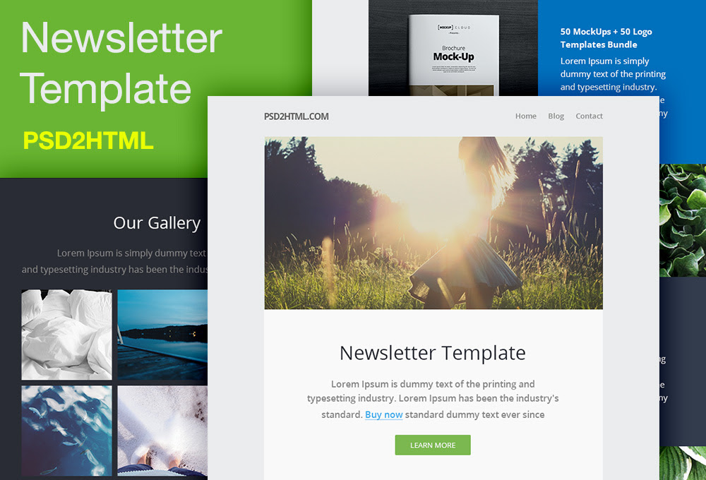 Download Free Newsletter Template (PSD & HTML) - GraphicsFuel