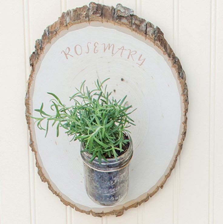Woodland Herb Garden - Garden Therapy