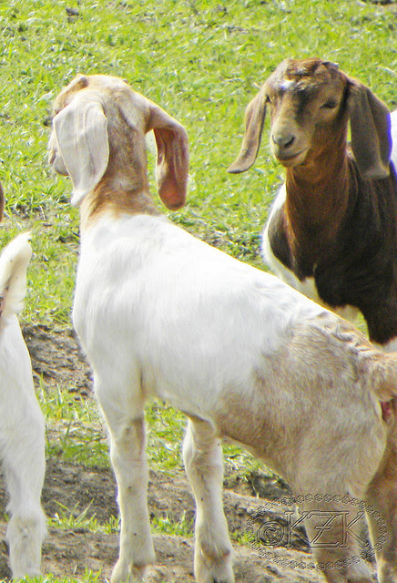 DSCN3429 Kids
