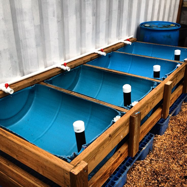 Aquaponics Easy: Backyard aquaponics in canada