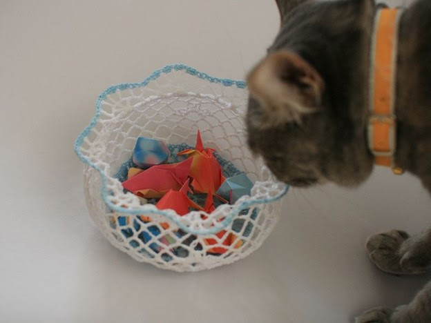 金魚 食べられるにゃ 写真共有サイト フォト蔵