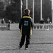 DSC_2016 (Large)