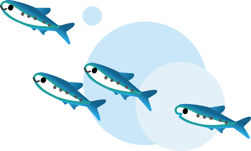 魚のイラスト 無料イラストフリー素材