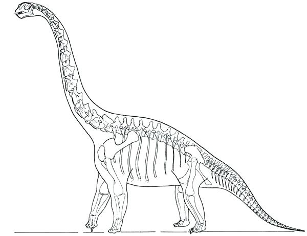 Dinosaur Fossil Coloring Pages at GetDrawings | Free download