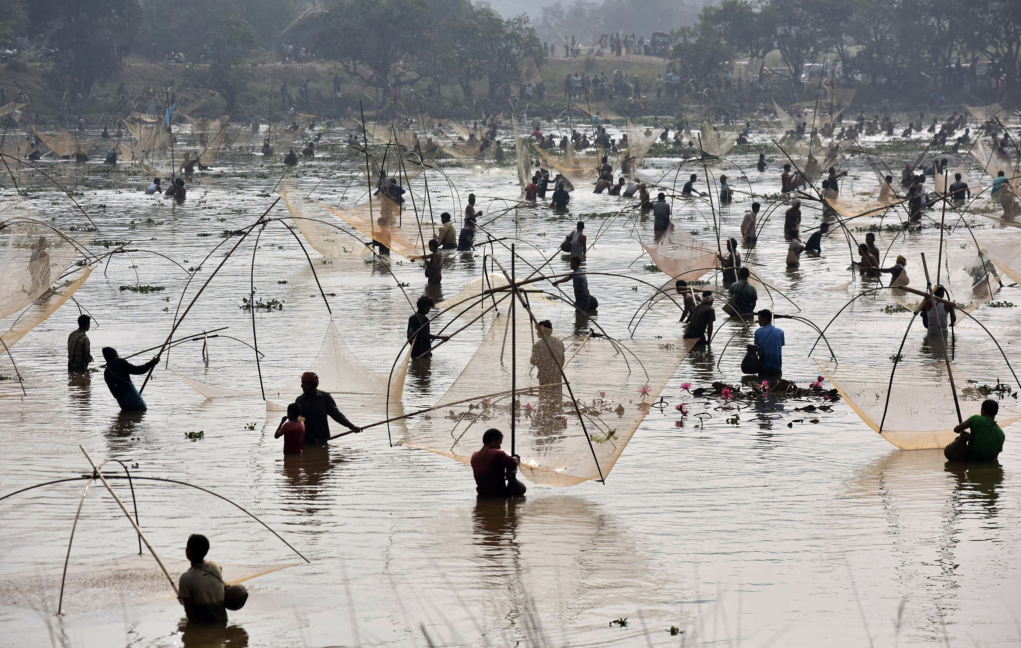 Indian villagers take part in a community fishing event during the Bhogali Bihu celebrations at Goroimari Lake in Panbari