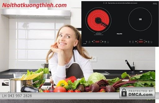 Bếp điện từ Malmo chất lượng tốt nhập khẩu từ Châu âu