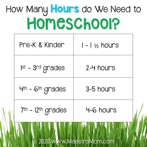  should i homeschool 10 key questions to help you decide maestra mom