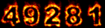 Web Counter