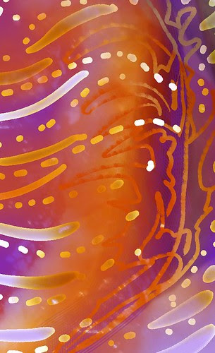 Illustration Friday - Flavour