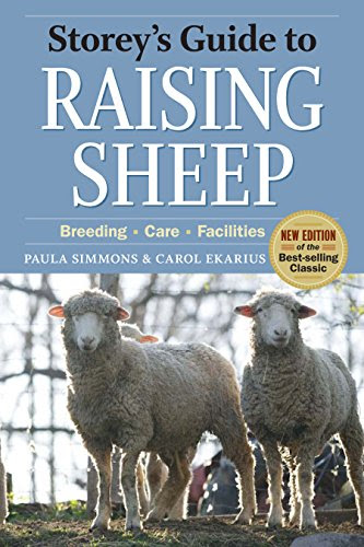 America S Own Sheep Breeds The Targhee Infobarrel