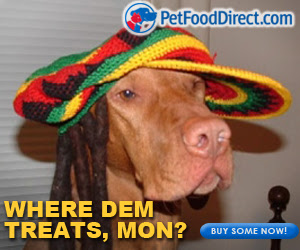 dog treats meme