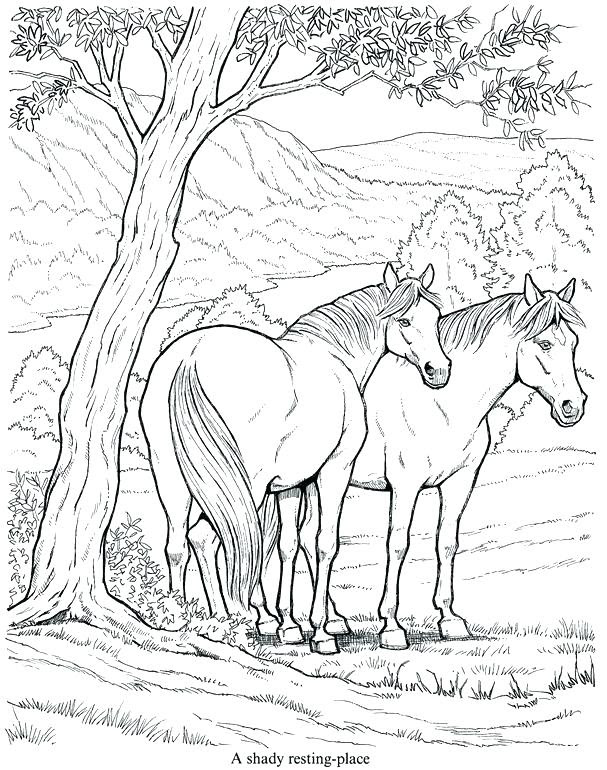 Download Show Horse Coloring Pages at GetColorings.com | Free printable colorings pages to print and color