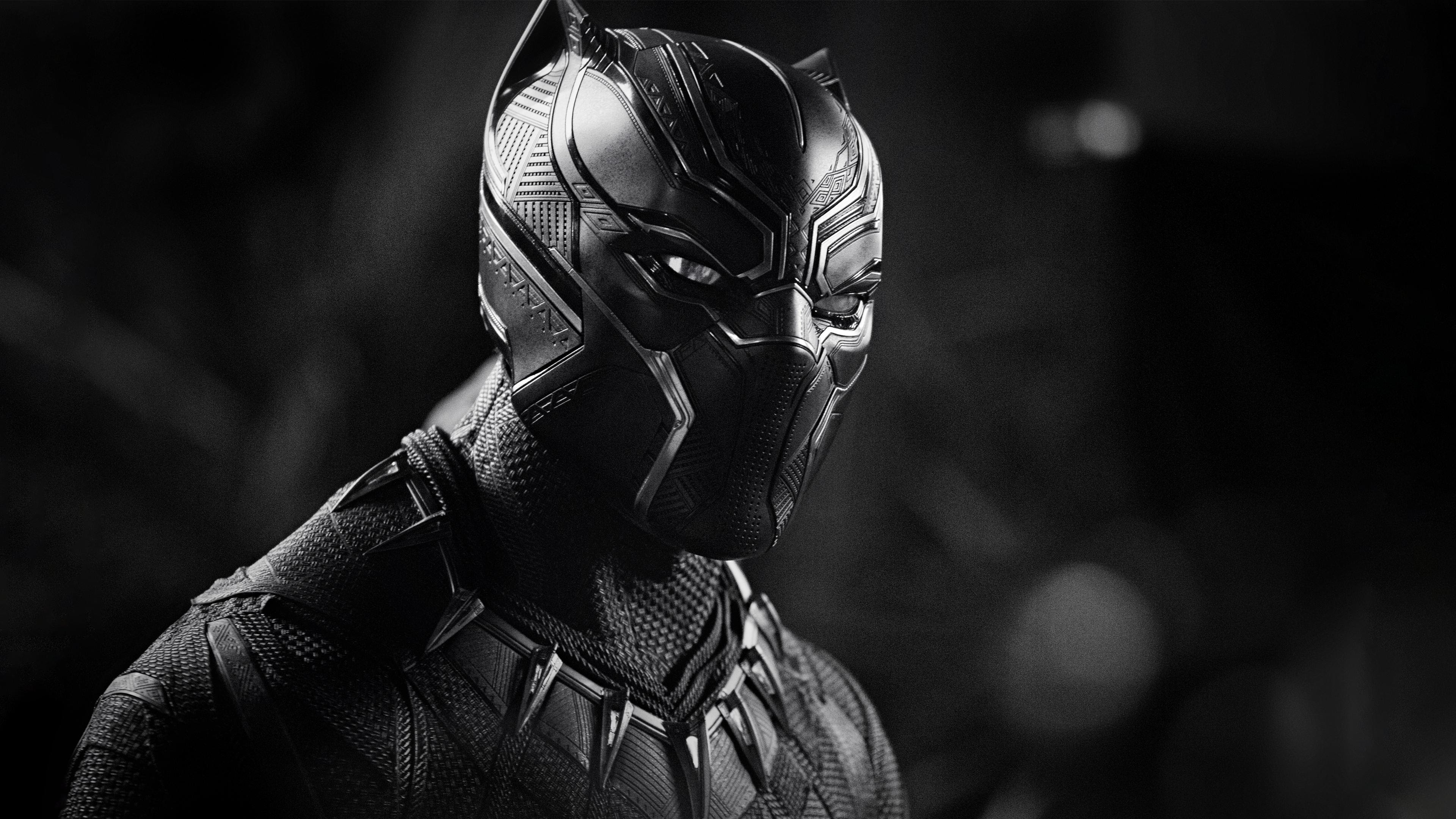  Black  Panther  Monochrome 4k HD Movies 4k Wallpapers  