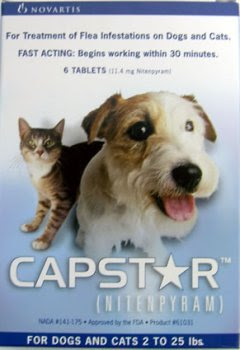 dog allergy to fleas Discount Capstar For Dogs And Cats 2 To 25 lbs (6 Tablets)