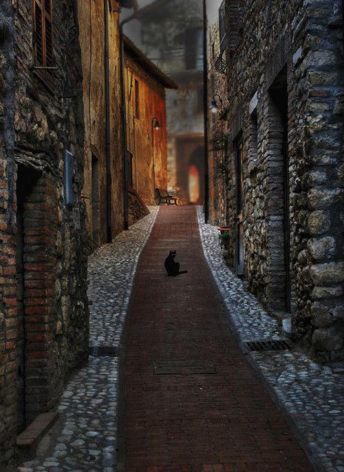 Image du Blog cathy313.centerblog.net