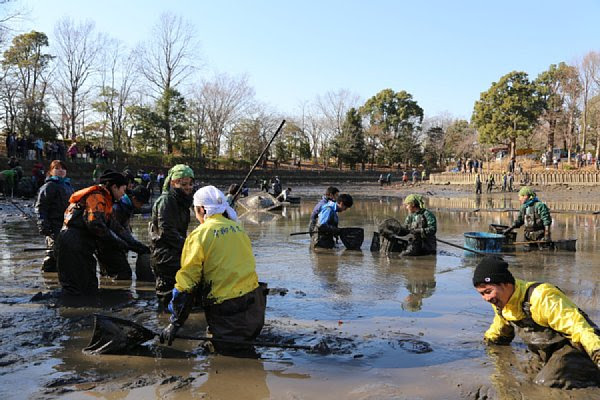 そうか公園修景池の 緊急sos 池の水ぜんぶ抜く大作戦6 が放送されました 草加市役所
