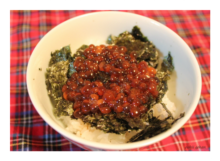 ミニいくら丼の献立 美味しいごはん